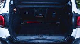 Citroen C3 Aircross - galeria redakcyjna