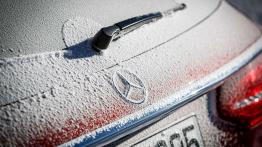 Mercedes klasy E All-Terrain - galeria redakcyjna