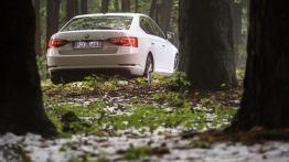 Skoda Superb L&K 2.0 TDI 150 KM - galeria redakcyjna - widok z tyłu