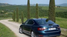 Skoda Superb III Sedan - galeria redakcyjna - widok z tyłu