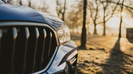 BMW X6 - galeria redakcyjna - widok z przodu