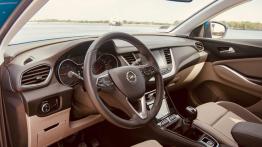 Opel Grandland X 1.6 Diesel 120 KM - galeria redakcyjna - pe?ny panel przedni