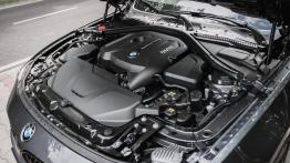 BMW 430i GranCoupe xDrive - galeria redakcyjna - silnik solo