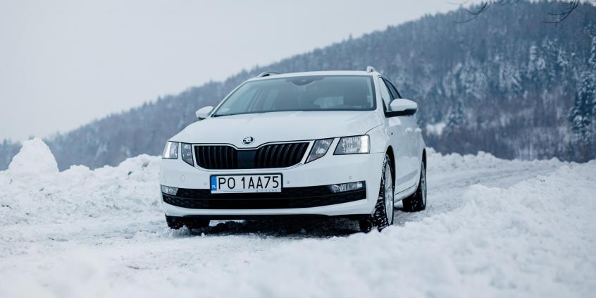 Skoda Octavia Drive 1.0 TSI 115 KM - galeria redakcyjna