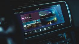 Jaguar F-Pace - galeria redakcyjna