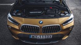 BMW X2 20d 2.0 Diesel 190 KM - galeria redakcyjna
