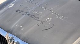 Skoda Yeti w Namibii - dzień 2 - galeria redakcyjna - inne zdjęcie