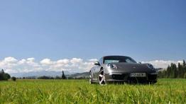 Porsche 911 4S - Ikona