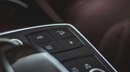 Mercedes GLS 500 - galeria redakcyjna