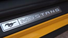 Ford Mustang VI Coupe GT 5.0 V8 421KM - galeria redakcyjna - listwa progowa