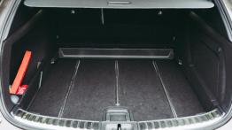 Toyota Corolla 2.0 Hybrid Dynamic Force 180 KM - galeria redakcyjna - baga?nik