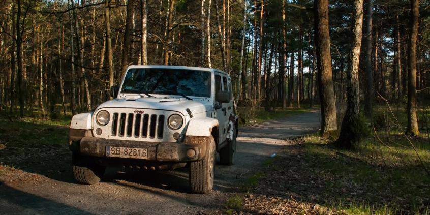 Jeep Wrangler Unlimited 1941 - galeria redakcyjna