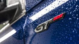 Peugeot 308 GT 1.6 e-THP 205 KM - galeria redakcyjna - emblemat
