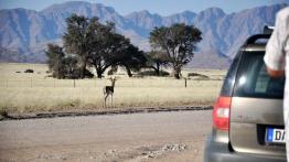 Skoda Yeti w Namibii - dzień 2 - galeria redakcyjna - inne zdjęcie