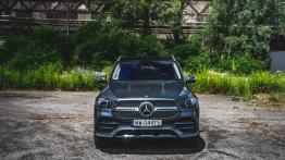Mercedes GLE 300d - galeria redakcyjna - widok z przodu