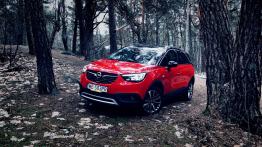 Opel Crossland X 1.2 Ecotec Turbo 110 KM - galeria redakcyjna - widok z przodu