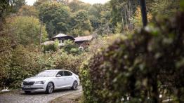 Skoda Superb L&K 2.0 TDI 150 KM - galeria redakcyjna - widok z przodu