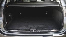 Mercedes GLE 300d 2.0 245 KM - galeria redakcyjna