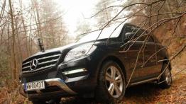 Mercedes Klasa M W166 350 BlueTEC 4MATIC 258KM - galeria redakcyjna - widok z przodu