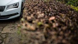 Skoda Superb L&K 2.0 TDI 150 KM - galeria redakcyjna - przód - inne ujęcie