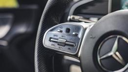 Mercedes GLE 300d - galeria redakcyjna - inny element panelu przedniego