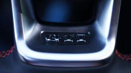Volkswagen Polo GTI 2.0 TSI 200 KM - galeria redakcyjna