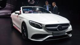Frankfurt Motor Show 2015 - samochody seryjne - galeria redakcyjna - inne zdjęcie