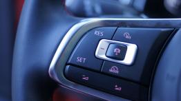 Volkswagen Polo GTI 2.0 TSI 200 KM - galeria redakcyjna