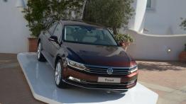 Volkswagen Passat B8 w Sardynii - galeria redakcyjna - widok z przodu