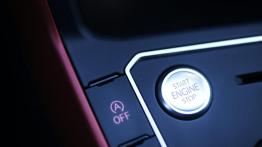 Volkswagen Polo GTI 2.0 TSI 200 KM - galeria redakcyjna