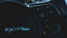 Jaguar F-Pace - galeria redakcyjna