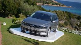 Volkswagen Passat B8 w Sardynii - galeria redakcyjna - widok z przodu