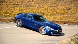 Mercedes-AMG GT 4.0 V8 - galeria redakcyjna - prawy bok