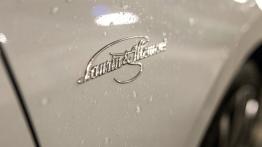 Skoda Superb L&K 2.0 TDI 150 KM - galeria redakcyjna - emblemat boczny