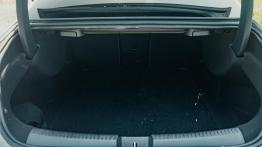 Mercedes CLA 220 - galeria redakcyjna - baga¿nik