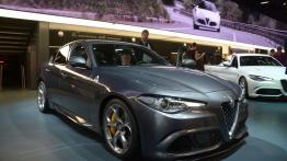 Frankfurt Motor Show 2015 - samochody seryjne - galeria redakcyjna - inne zdjęcie