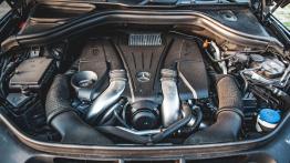 Mercedes GLS 500 - galeria redakcyjna