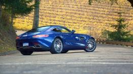 Mercedes-AMG GT 4.0 V8 - galeria redakcyjna - widok z tyłu