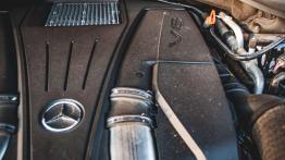 Mercedes GLS 500 - galeria redakcyjna