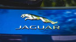 Jaguar F-Pace - galeria redakcyjna