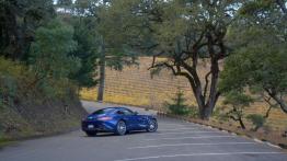 Mercedes-AMG GT 4.0 V8 - galeria redakcyjna - widok z tyłu