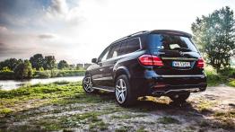 Mercedes GLS 500 - galeria redakcyjna
