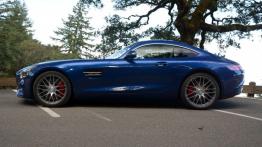 Mercedes-AMG GT 4.0 V8 - galeria redakcyjna - lewy bok