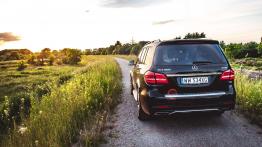 Mercedes GLS 500 - galeria redakcyjna