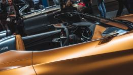 Frankfurt Motor Show 2017 - galeria redakcyjna