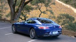 Mercedes-AMG GT 4.0 V8 - galeria redakcyjna - widok z tyłu