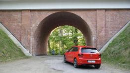 Volkswagen Polo GTI 2.0 TSI 200 KM - galeria redakcyjna - widok z tyłu