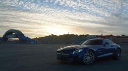 Mercedes-AMG GT 4.0 V8 - galeria redakcyjna - lewy bok