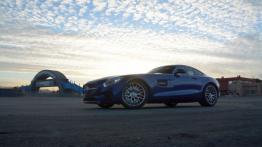 Mercedes-AMG GT 4.0 V8 - galeria redakcyjna - lewy bok
