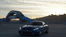Mercedes-AMG GT 4.0 V8 - galeria redakcyjna - widok z przodu